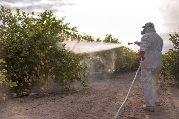 Best Pest Control for Homes  in Hobart, WA